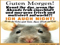 Guten Morgen-