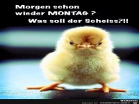 Morgen schon wieder Montag