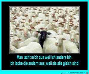 Das-schwarze-Schaf.jpg auf www.funpot.net