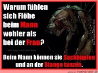 Warum fuehlen sich Floehe bei Maennern wohler