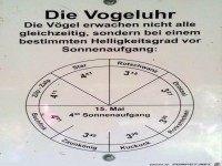 Vogeluhr