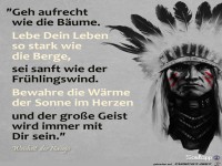 Geh aufrecht wie die Baeume