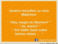 Samen g�nstig abzugeben