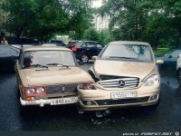 Wer h�tte das gedacht