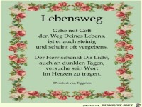 Lebensweg 2018