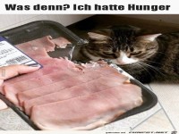 Der Hunger war groß