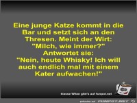 Eine junge Katze kommt in die Bar und setzt sich an den...