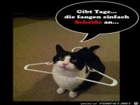 Manche Tage fangen einfach bl�d an