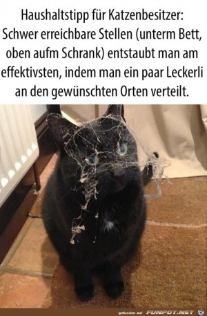 Putz-Tipp.jpg auf www.funpot.net