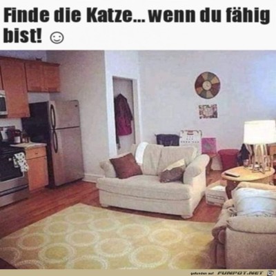 Wo-ist-die-Katze?.jpg von Noah75