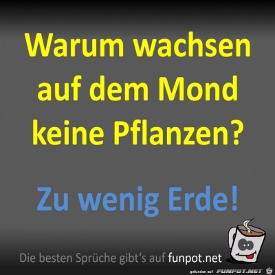 Zu-wenig-Erde.jpg von Fossy