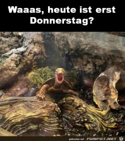Erst-Donnerstag.jpg auf www.funpot.net
