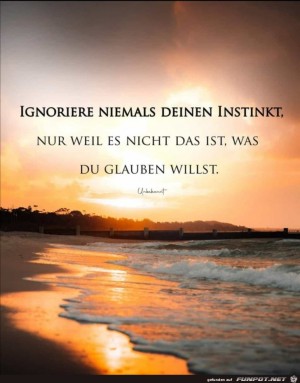 Dein-Instinkt.jpg auf www.funpot.net