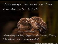 Heut zu Tage sind nicht nur Tiere vom Aussterben bedroht