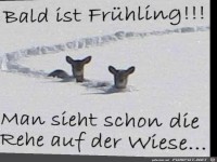 Bald ist Fr�hling