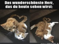 Sch�nes Herz