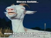 Dieses Gef�hl