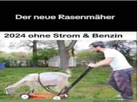 Rasenmäher