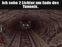 Katze im Tunnel mit leuchtenden Augen
