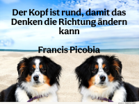der kopf ist rund