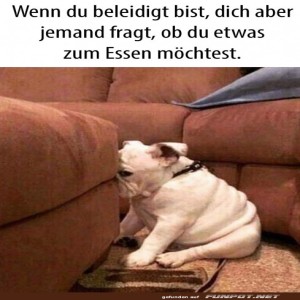 Wenn-du-beleidigt-bist.jpg von Benno-2011