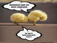 Wenn K�ken den Hut vergessen!