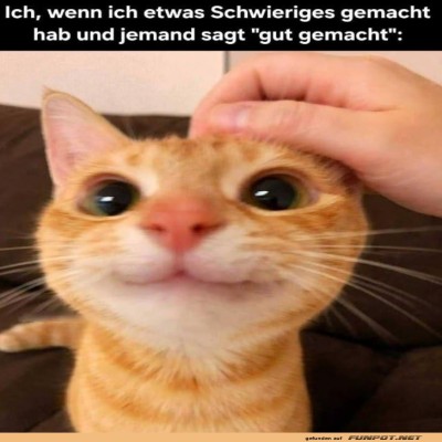 Wenn-Anerkennung-gl&uuml;cklich-schnurrt.jpg von Sophie48