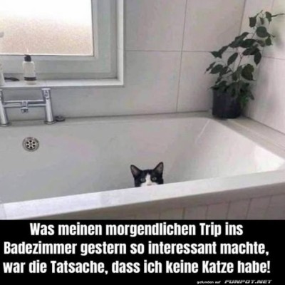 Katzendetektiv-in-der-Badewanne!.jpg von Queen92
