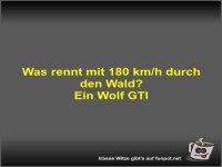 Was rennt mit 180 km/h durch den Wald?