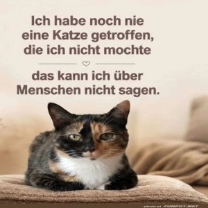 Katzenliebe:-Ehrlich,-Direkt-und-Flauschig.jpg von Nachtstern