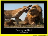 Beweg dich