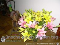 wuensche einen bunten tag