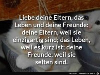 Liebe deine Eltern