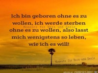 Ich bin geboren ohne es zu wollen