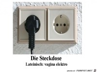 Steckdose