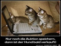 nur noch sichern......