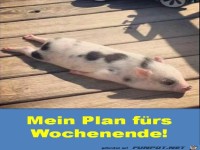 Mein Plan