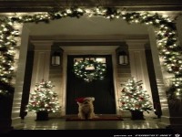 Schne Weihnachtsdekoration