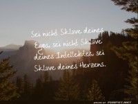 sei-nicht-sklave-deines-egos-