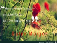 Guten Morgen