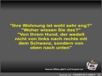 Ihre Wohnung ist wohl sehr eng?