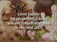 Lerne aus der Vergangenheit