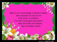 Gaebe es nur Sonnentage