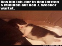 Da ist jemand sehr m�de