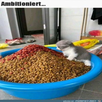 Sie-hat-was-vor-sich.jpg von Luis