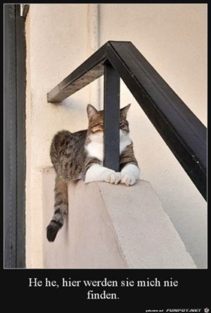Hier-findet-mich-keiner.jpg auf www.funpot.net