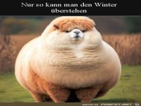 Cooles Winterfell