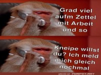 Die Lage hat sich schnell ge�ndert