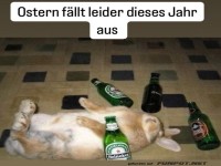 Ostern fllt aus: Hase in Feierlaune
