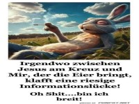 Entspannter Hase und groe Informationslcke